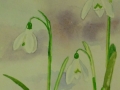 mas-day-snowdrop-card