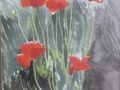 poppies