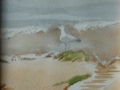 sidmouth-beach-north