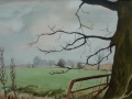 Norfolk landscape