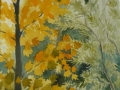 uea-autumn-trees