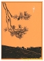 bethlehemstar