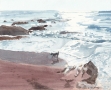 Bantham Bay