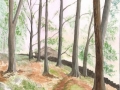 Dales-Wood