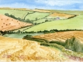 Fields-around-Malborough-S-Devon