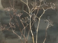 Umbels